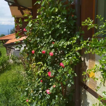 Panorama Daire Bansko