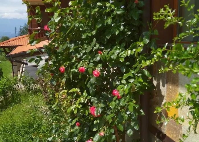 Panorama Apartament Bansko